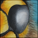 Augenblick einer Wespe; Acryl auf Leinwand;
30 x 30 cm